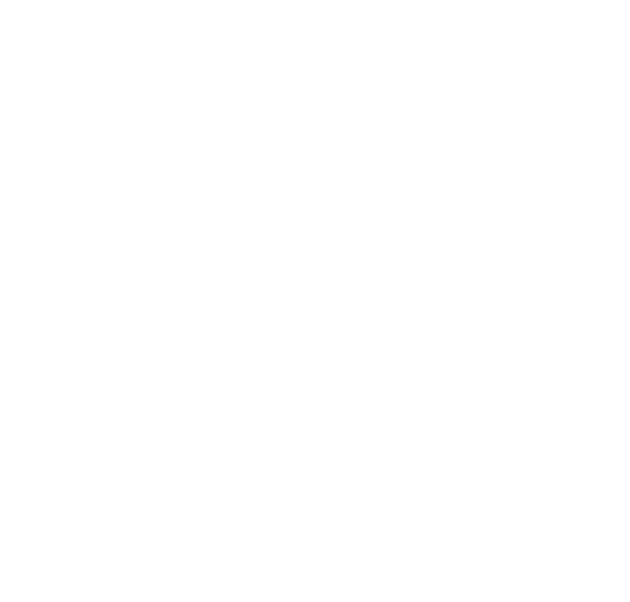 National Hockey League Players’ Association logo